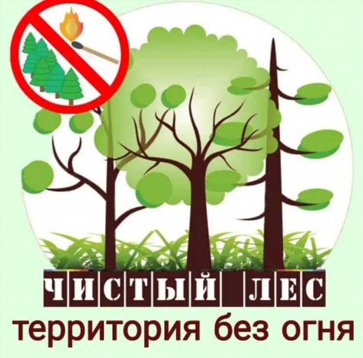 Хоккей металлург новокузнецк расписание