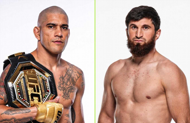 Прогноз на ufc на сегодня