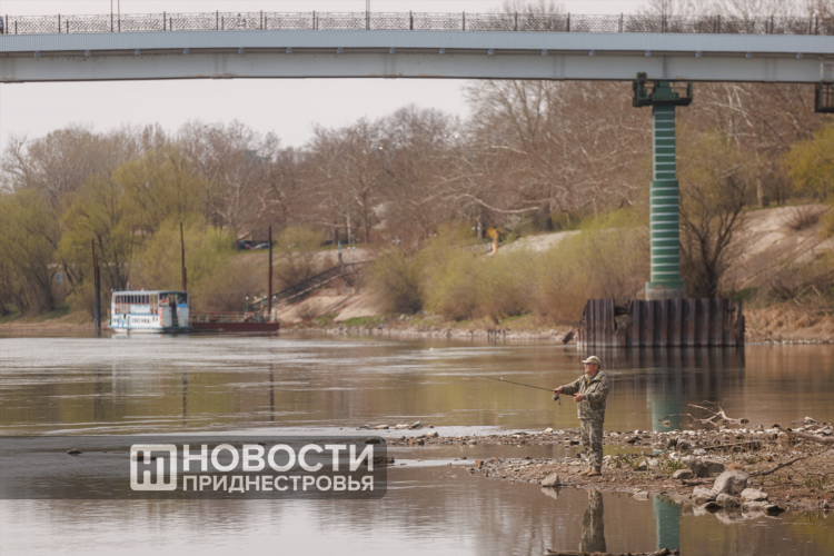 Ривер плейт прогноз на сегодня