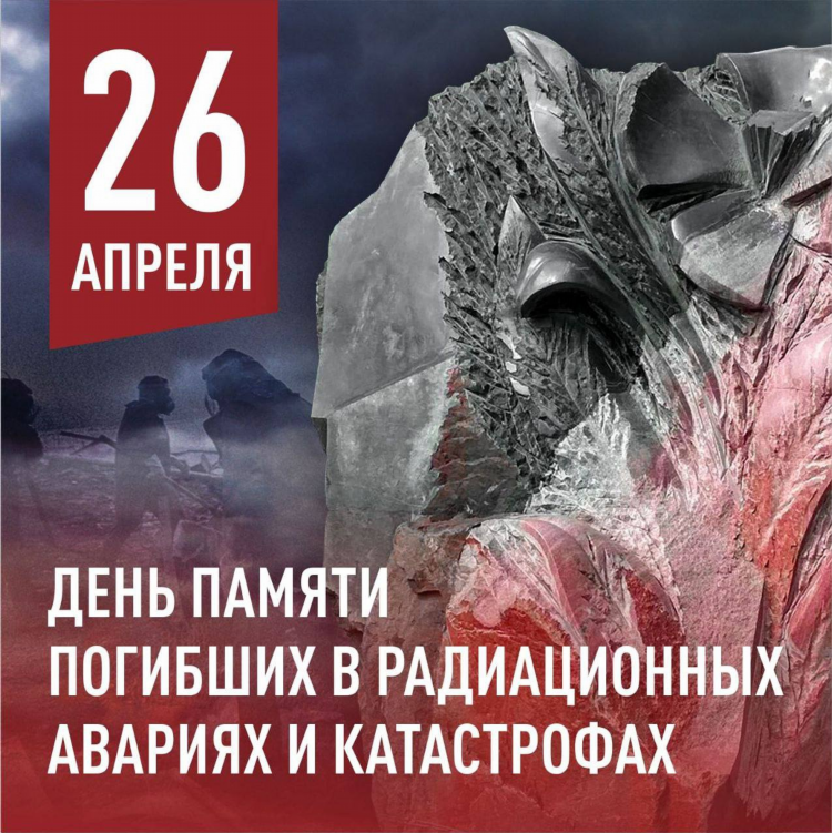 Слив платных прогнозов телеграмм