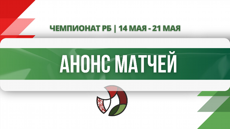 Трансляция волейбола сегодня
